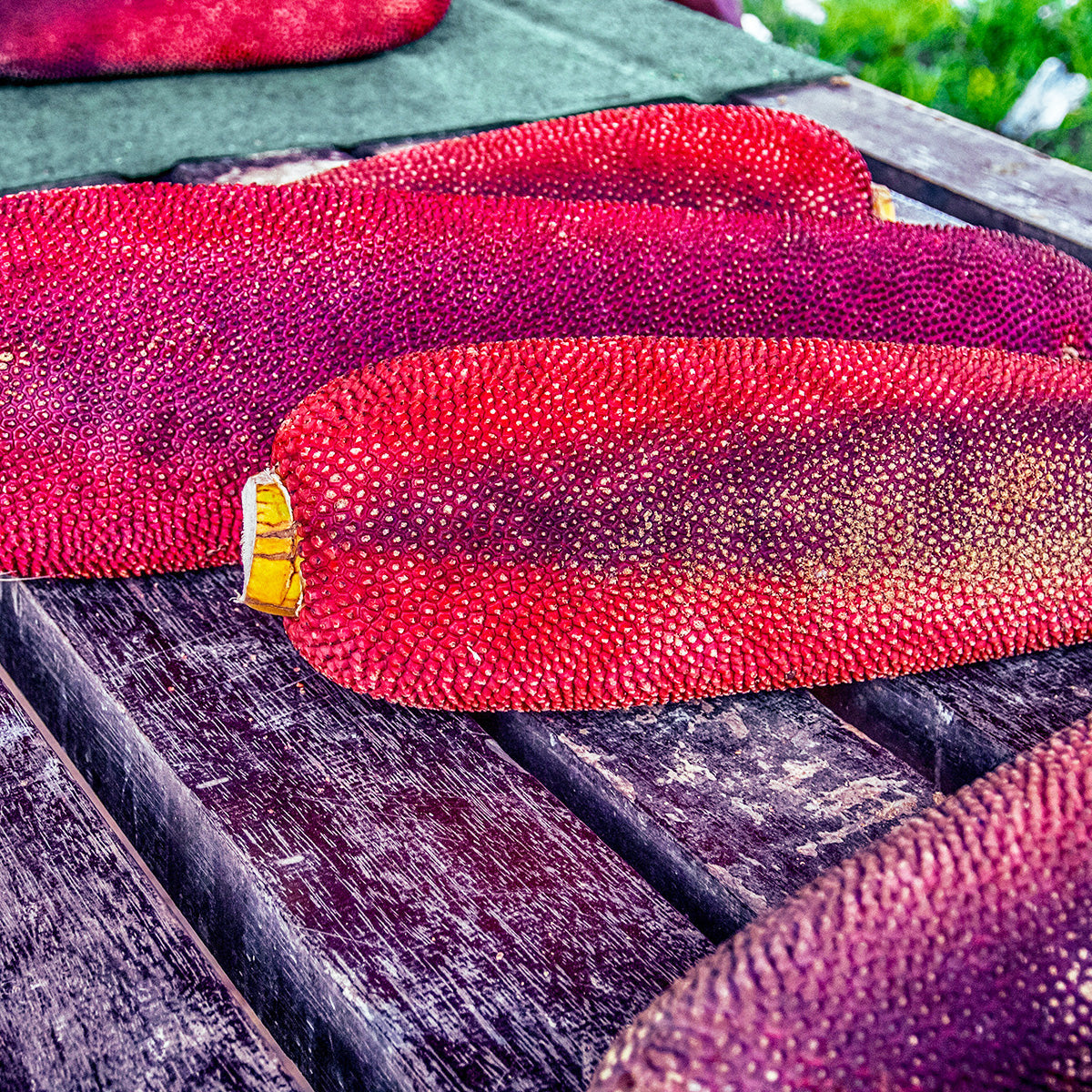 buah merah red fruit