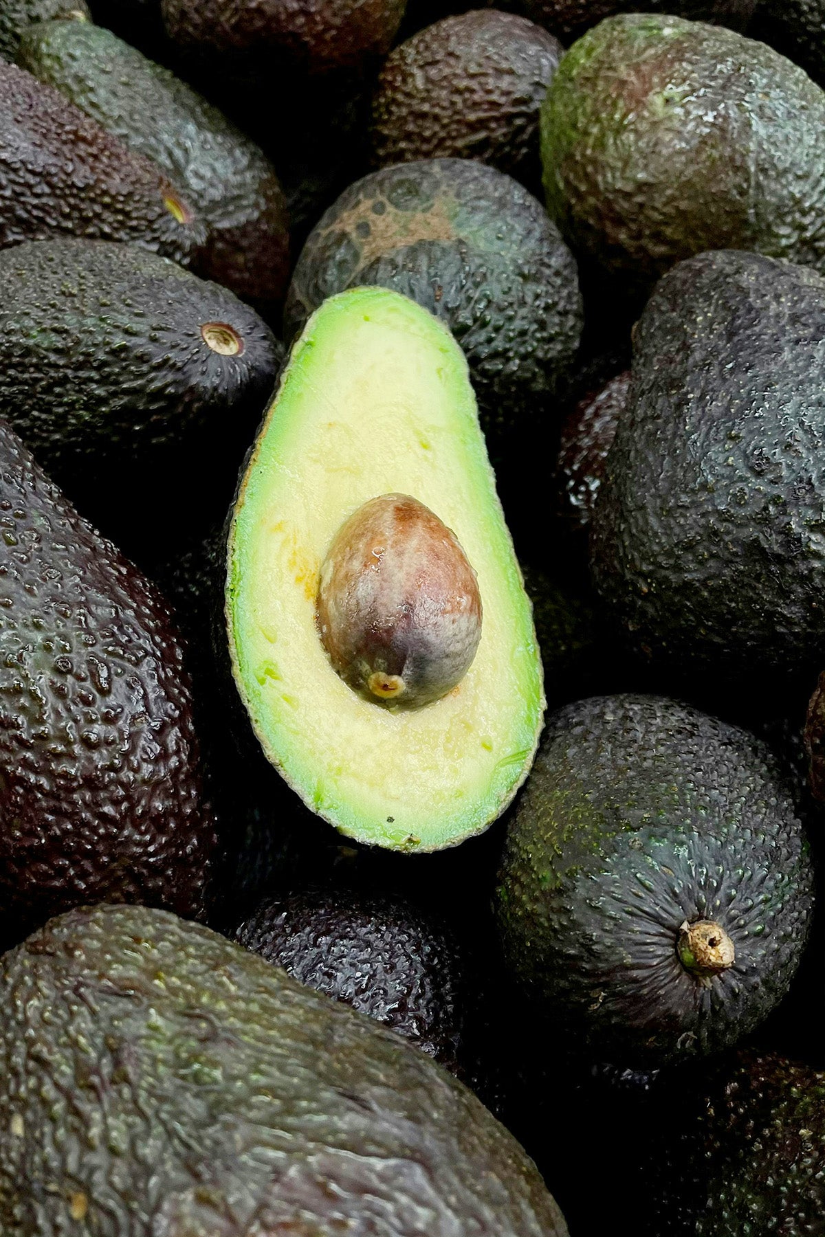 avocados