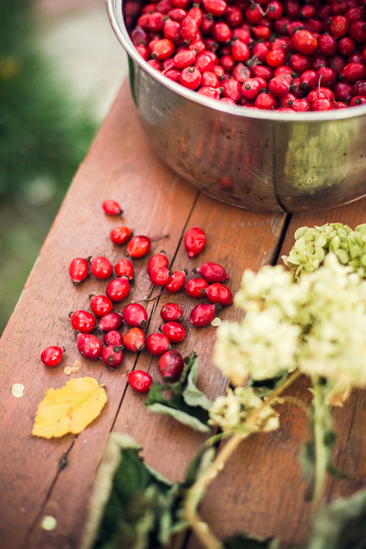 bowl of rosehips