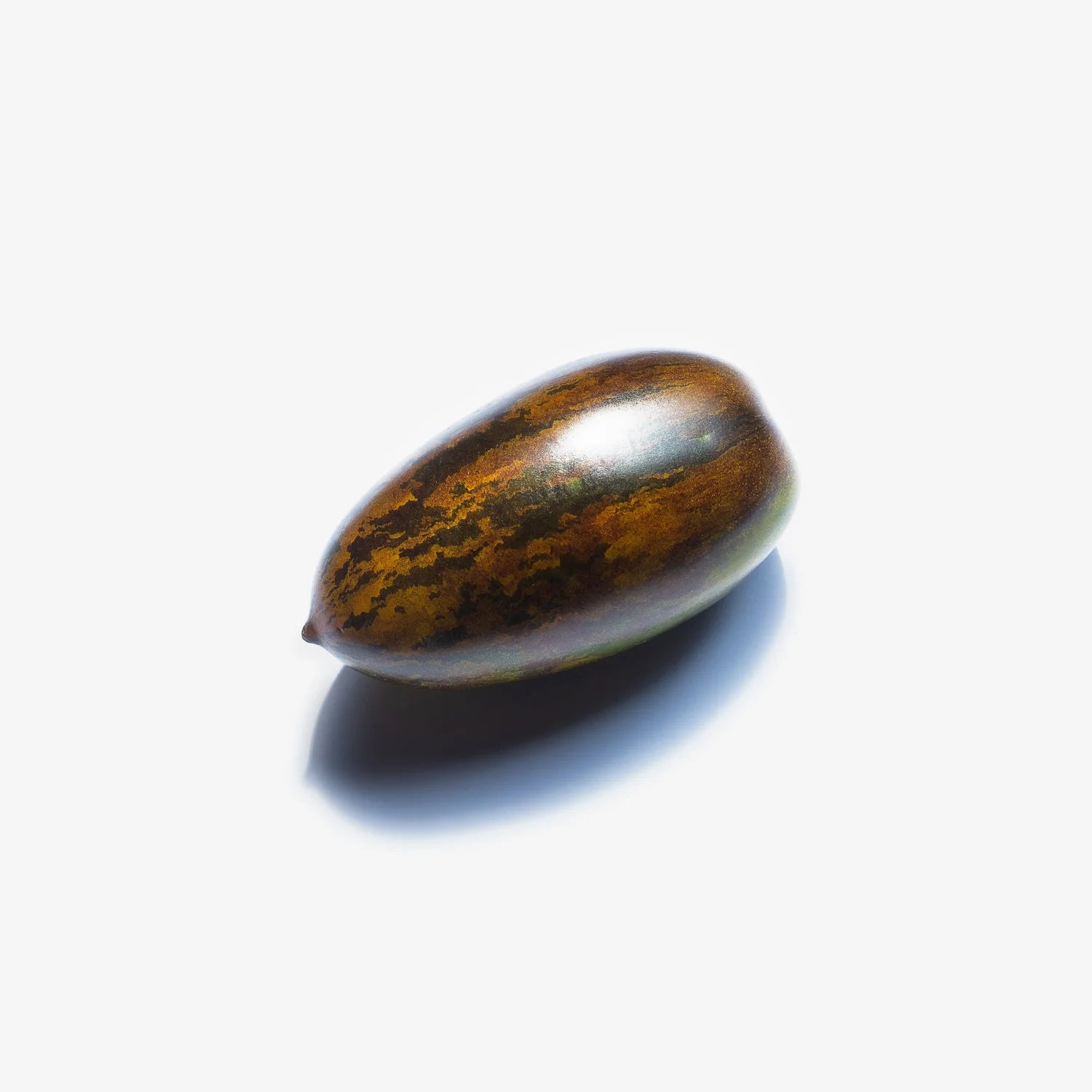 castor oil seed