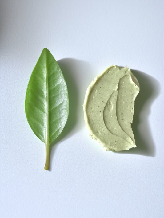 Matcha Clear Skin Balm and a green tea leaf