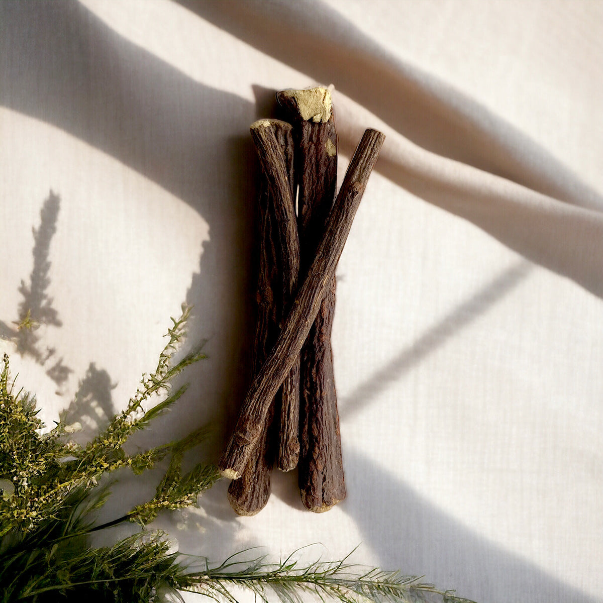 licorice roots on cloth