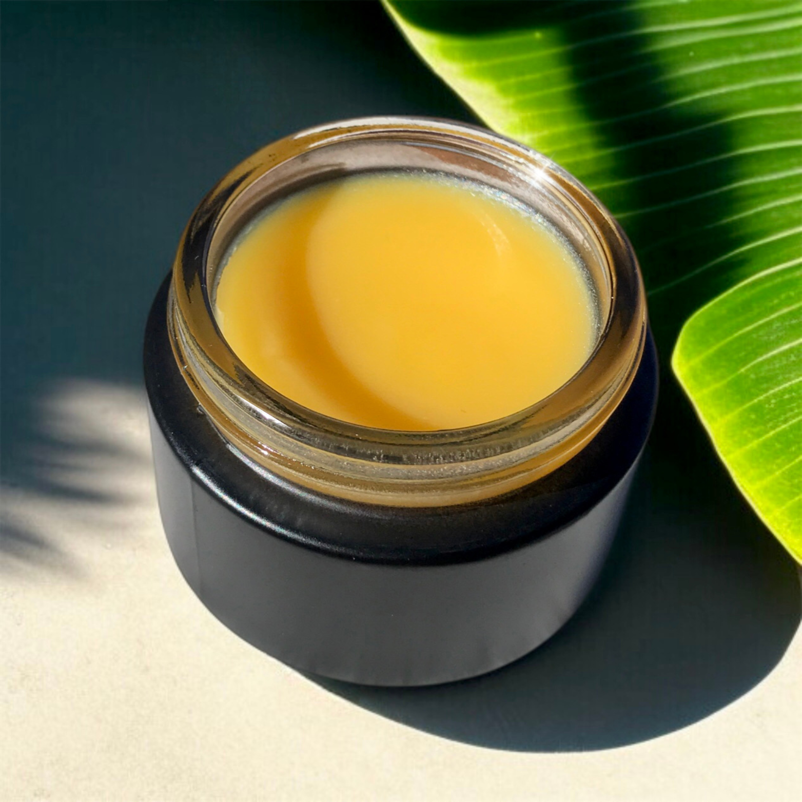 Jar of Hibiscus Night Renewal with a black lid on a green leaf background