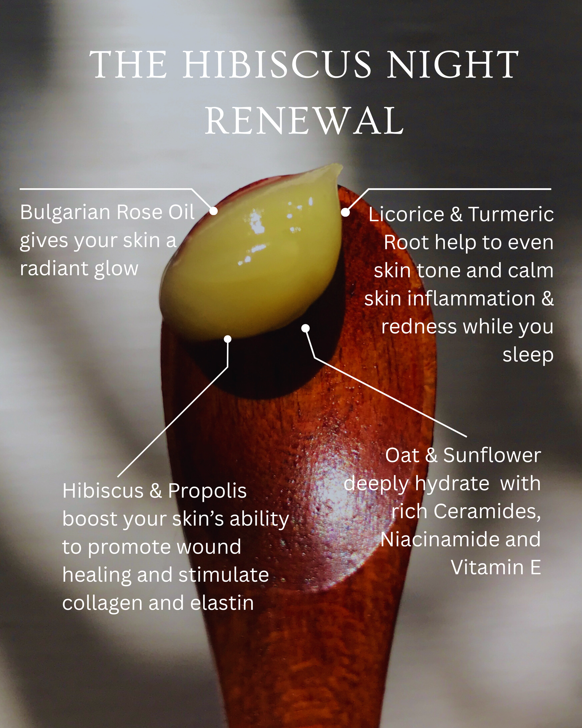 Hibiscus Night Renewal with text detailing its benefits for skin care, including Bulgarian Rose Oil, Licorice & Turmeric Root, Oat & Sunflower, and Hibiscus & Propolis.