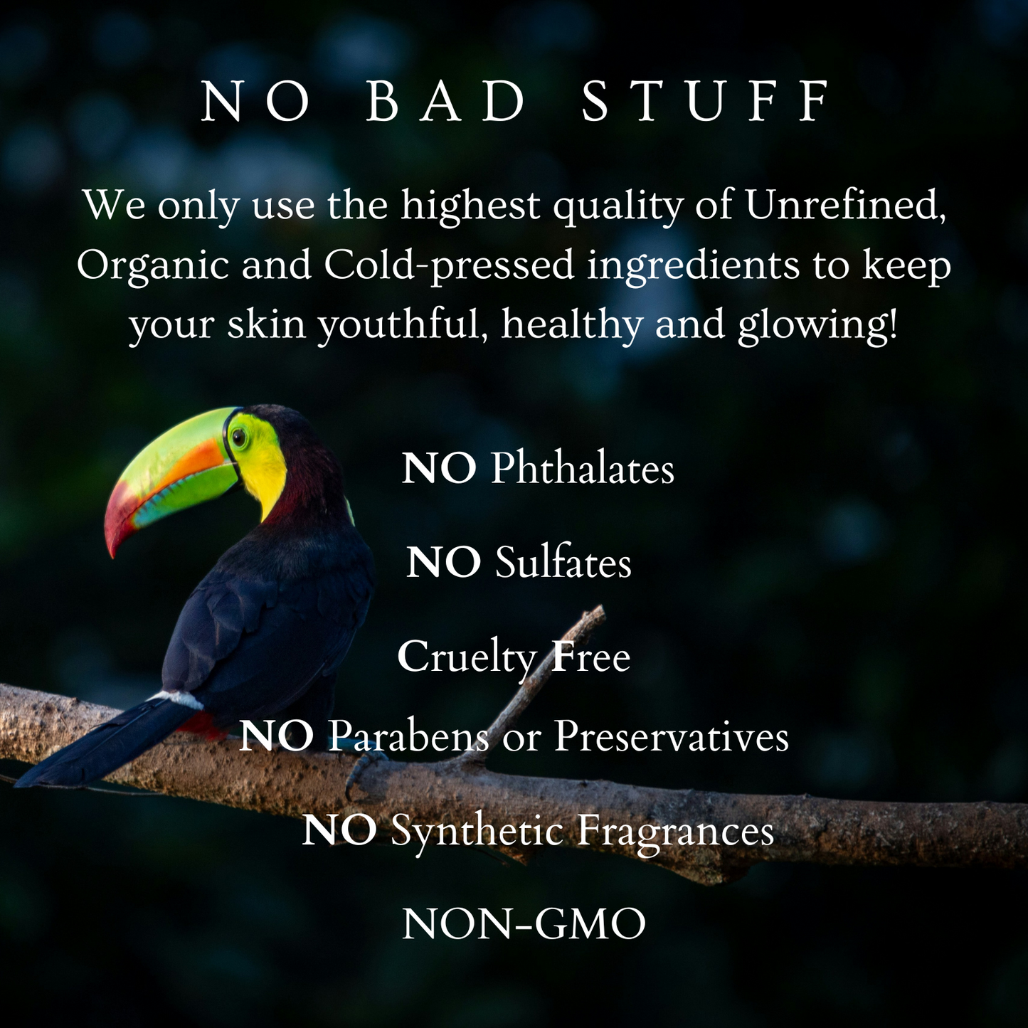 Black Seed Oil Cleanser