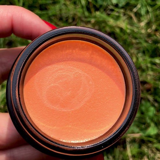 close up of hibiscus low balm